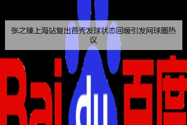 张之臻上海站复出首秀发球状态回暖引发网球圈热议